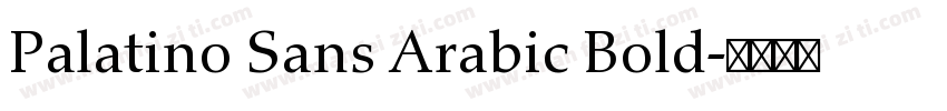 Palatino Sans Arabic Bold字体转换